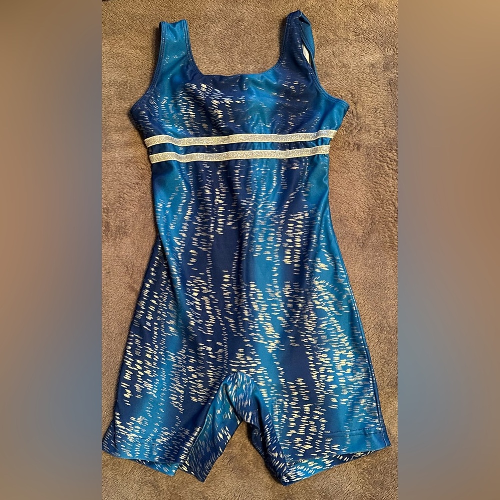 Danskin Now Blue and Silver Activewear